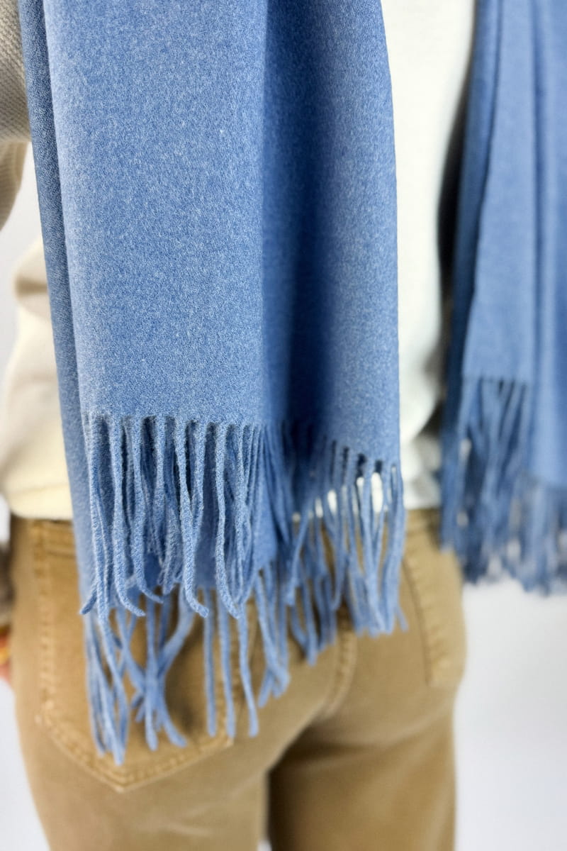 clementine 303 H25 2